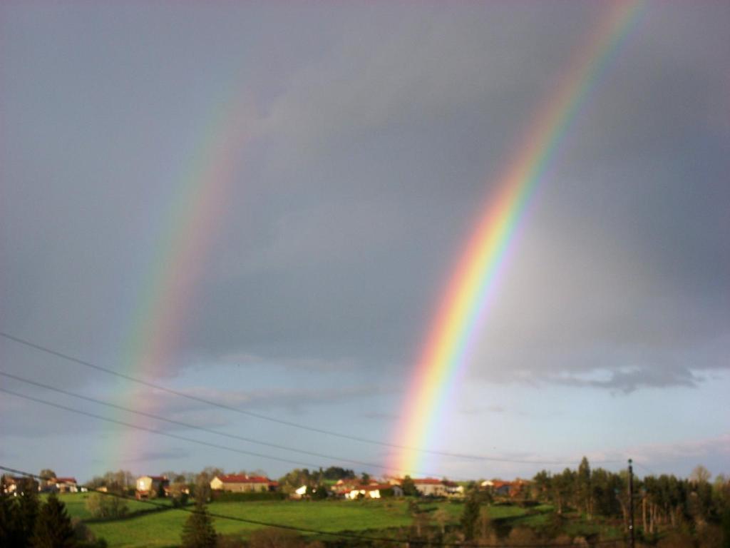 Les Roulottes De La Ferme Des Chanaux Saint-Julien-d'Ance Zimmer foto